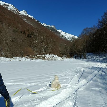 Стаи За Гости Рила Kültér fotó